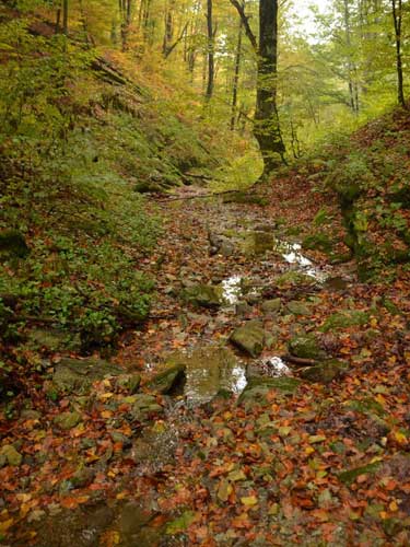 Foto Coborand pe valea lui Boila (c) Petru Goja